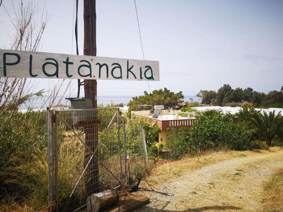 Platanakia Villa Myrtos Exteriör bild